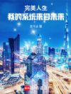 完美人生:我的系统来自未来