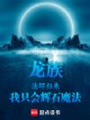 龙族:法环归来,我只会辉石魔法