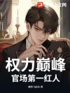 权力巅峰:官场第一红人