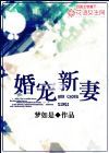 婚宠新妻